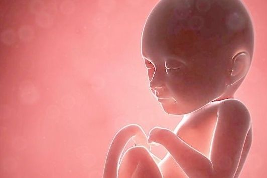 有孕|孕妈孕检时,若怀的是男宝,多数会有孕检结果,快来自测一下