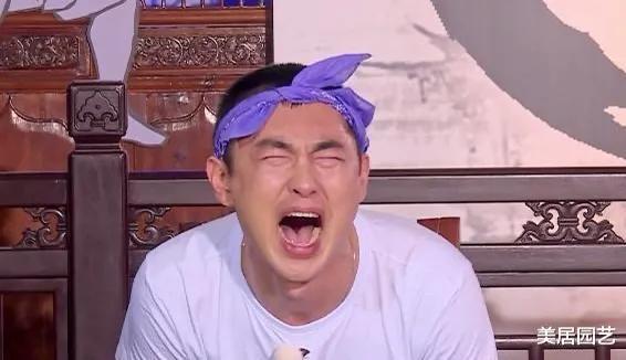 流量|一人就顶沙溢加郭麒麟,承担收视率却黯然退场,无流量明星的悲哀