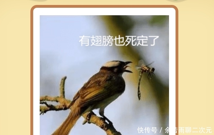 上衣|妹子,出门穿件上衣吧,遮挡一下,要不淑女形象全完了