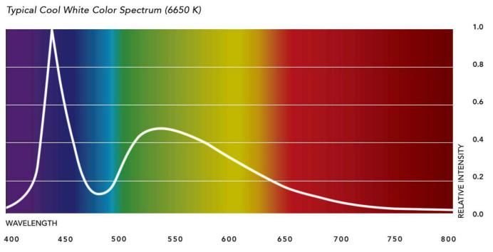  世界|鸟类能看到人类看不到的世界，最新研究发现，和鸟类比我们像色盲