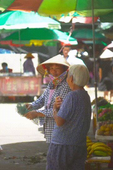 海中|中国这个美丽海滨！城在海中、海在城中，藏着绝妙生活却少有人知