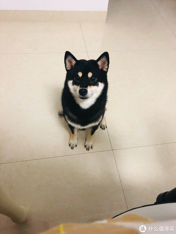 宅家|【这些超好吃】 篇一:一共50款!假期宅家必备零食清单请拿好~