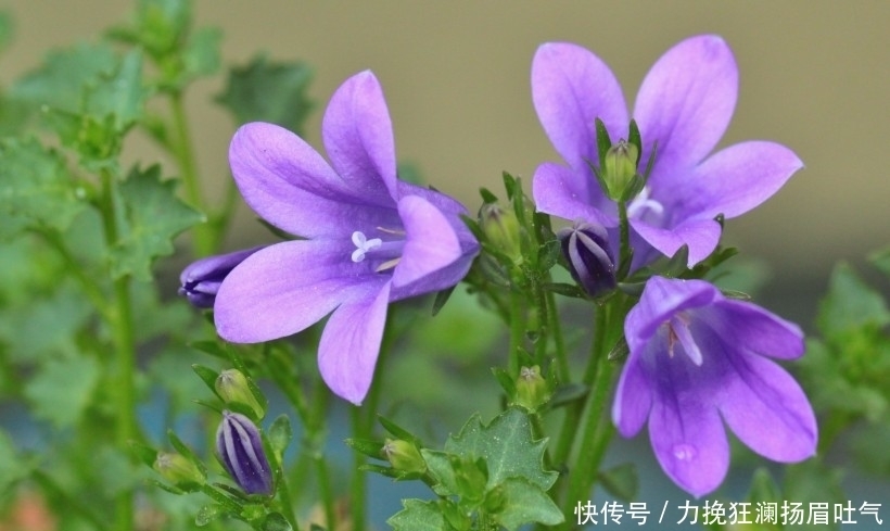 生肖|9月开始财运上佳，得贵人支持，日子顺心如意的四大生肖