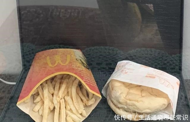 变质|十年前买的麦当劳汉堡至今仍未变质，成为食物界的“不老神话”