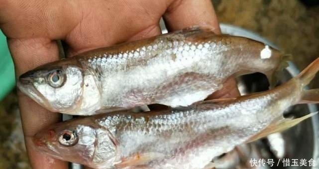 名字|中国口感最佳的4种鱼,吃起来又鲜又嫩,极其好吃