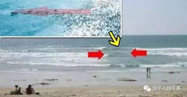  事故|【痛心】澄海一对父子下海玩水发生溺亡事故！愿悲剧不再发生！