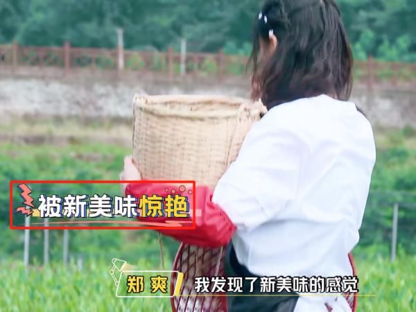  茶叶|郑爽不顾形象直接吃生茶叶，字幕组打出6个字解释，堪称完美救场