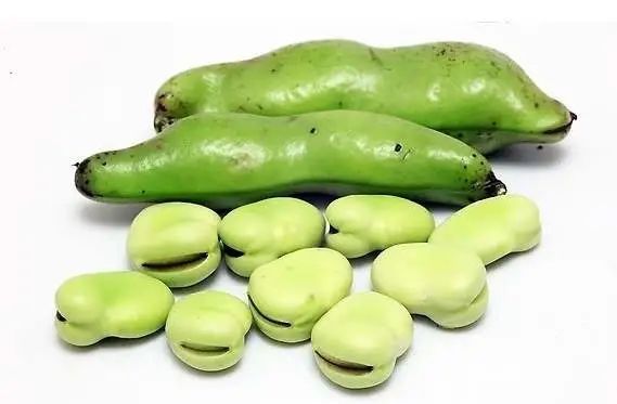 课堂|【中医健康课堂】养生保健的“神奇豆”:红豆养心、黑豆补肾、绿豆消暑......营养和养生功效各不同~