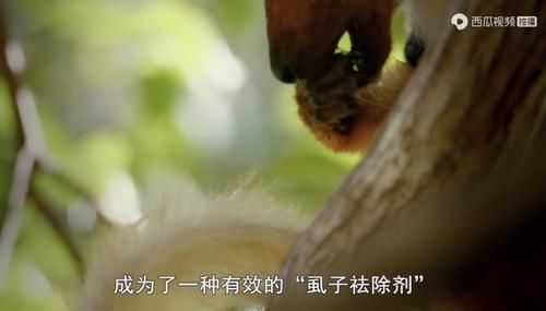  佳作|豆瓣预定超9分的佳作：原来我们错过许多惊喜，真遗憾没早点看到