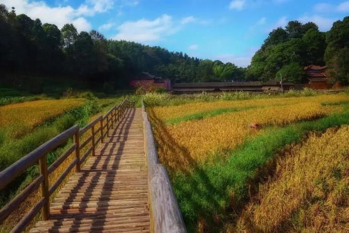  南平|南平 | 这五个25°C的古村落，又美又凉爽~