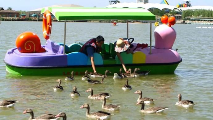 塘边|览夏 || 鸣翠湖：芦丛荡舟，迷宫观鸟，塘边赏荷……这样消暑很“靠谱”！