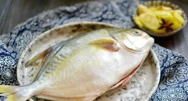  好吃|鲳鱼别再清蒸了，教你简单做红烧鲳鱼，美味下饭，好吃极了