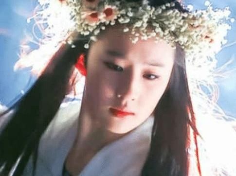 姐姐|有种“全家最丑”叫刘亦菲，当看到她的表姐后，网友：姐姐出道吧