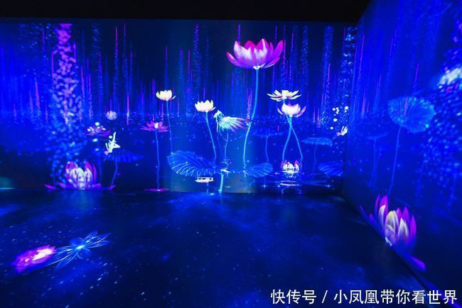  万象|东风夜放花千树，万象森林看万象