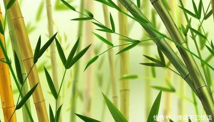 吉星|恭喜4生肖,中秋前后,吉星照耀,数钱数到晚,机不可失