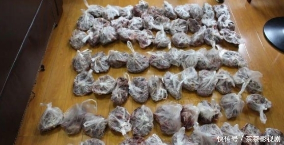  沈某|男子使用万元“神器”专业打鸟！3个月干掉1000余只斑鸠！