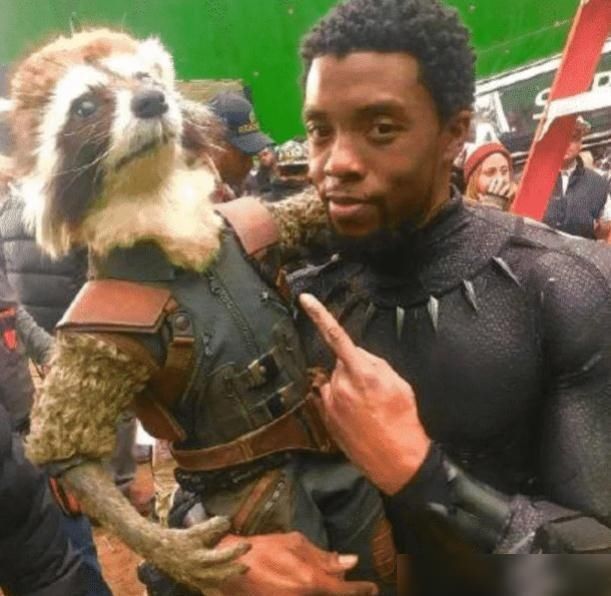 爪子|海拉:我的角是道具!金刚狼:我的爪子是道具!他:我全是道具