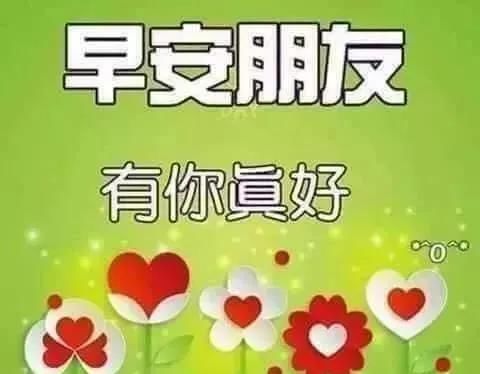 闭上双眼，深深呼吸，吸进今晨的花香，装点今天的心情！|早安| 早安