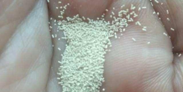  告诉|酵母吃多了是否有危害呢？老师傅告诉你原因