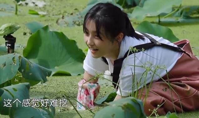 质疑|解气!《向往4》再被质疑作秀,官博直面舆论公开打脸