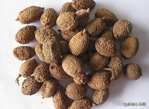 常见|二十种常见香料怎么用?一次性全告诉你!还有卤肉配方,值得收藏