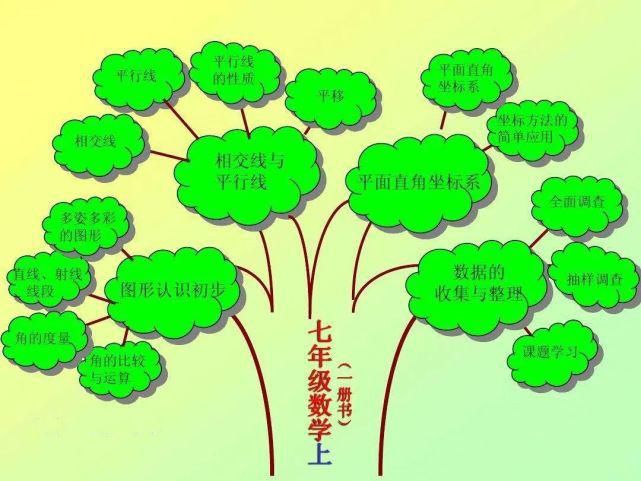 答疑|树洞答疑 | 我真的很努力，很累，可是成绩就是上不去怎么办？