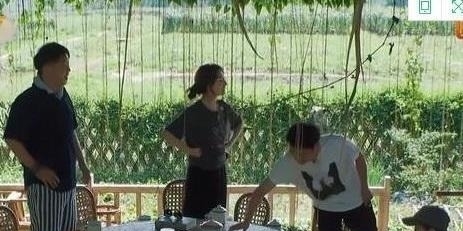  原因|《向往4》快乐家族合体蘑菇屋，吴昕终于成焦点，原因饱含心酸！