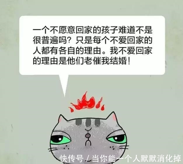 从来|有猫病丨最好的教育从来都是父母相爱