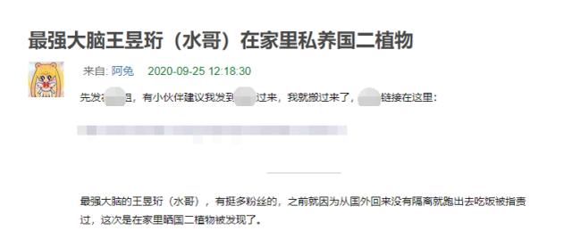  极限挑战|《最强大脑》水哥被扒私养国家二级保护植物，专家否定人工繁育