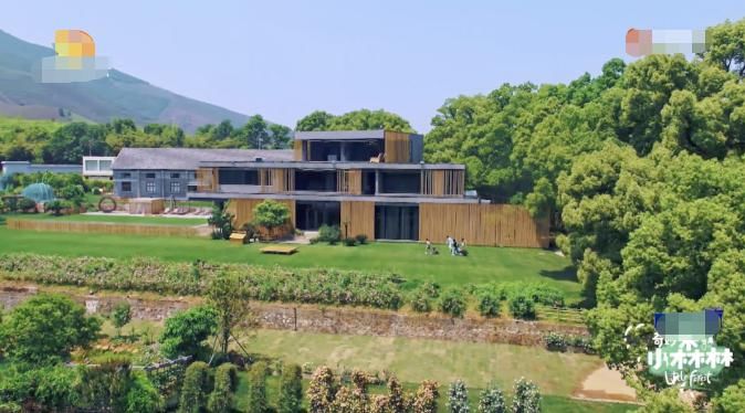  豪宅|郑爽新综艺被气哭？当看到综艺里的森林豪宅，我羡慕哭