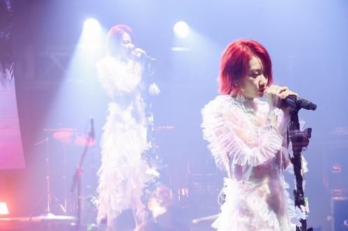  内容|平行麦现场乃万超级在线演唱会首创直播+录播制式