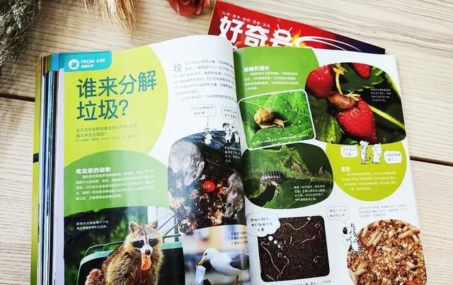  美国|美国顶尖儿童杂志授权，满足6-12岁孩子所有好奇心