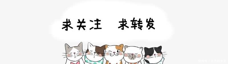  队内|郎平面对镜头失声落泪，女排天才远走美国，被国家队永久除名！