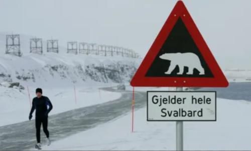 北极|男子北极露营半夜被北极熊撕咬而死,政府提醒游客随身携带枪支