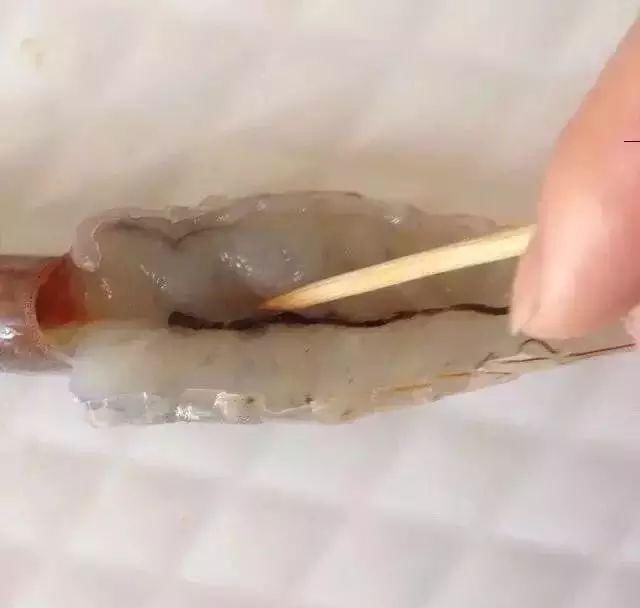 切成|教你切花刀!轻松做出鱿鱼花卷、开背虾、松鼠鱼→