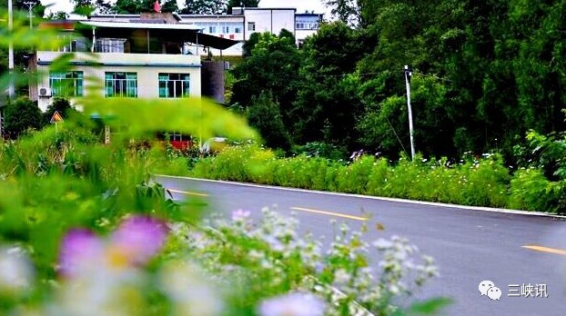 道路|万州到云阳这条道路变美了!全长12.8公里!