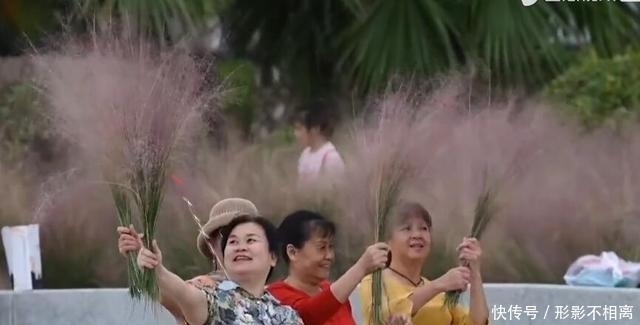 花美|硬核!大妈景区手拿喇叭放金句:进入花田你没有花美,谁丑谁尴尬