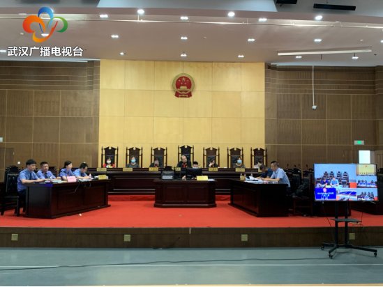 开庭审理|汉阳法院开庭审理两起生态环境领域刑事附带民事公益诉讼案件
