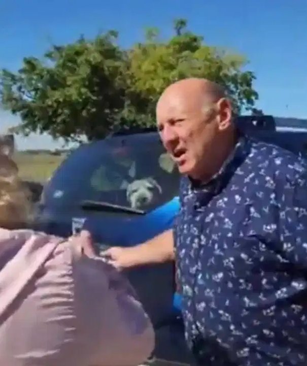  动物|宠物狗被锁高温车内两小时 狗主人因虐待动物罪被起诉