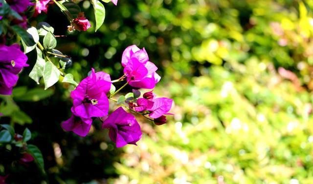  理智|人生感悟：越是在这三件事上“绝情”的人，越有福气