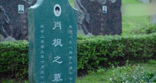 升至|《穿越火线》大结局,全网热度升至第二,鹿晗贡献值全剧第一