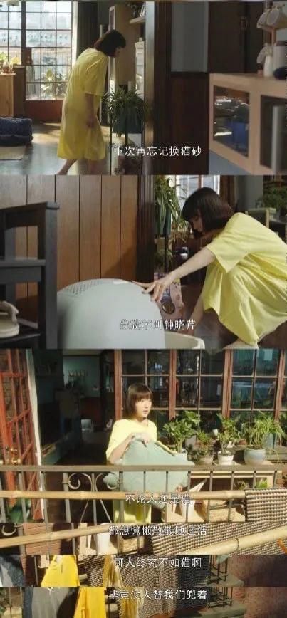 竟然|《三十而已》细节，竟然要来给渣男洗白了？