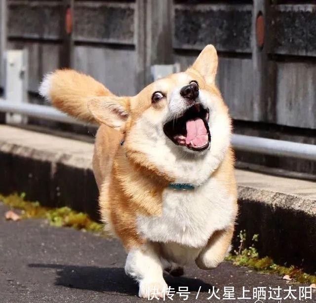 换上|50张幸运头像|换上必有好运