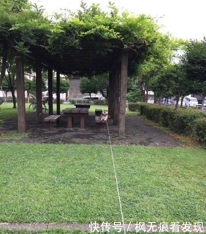 下车|幽默笑话:今天坐公交,到站了,一大妈抱着一麻袋西瓜要下车