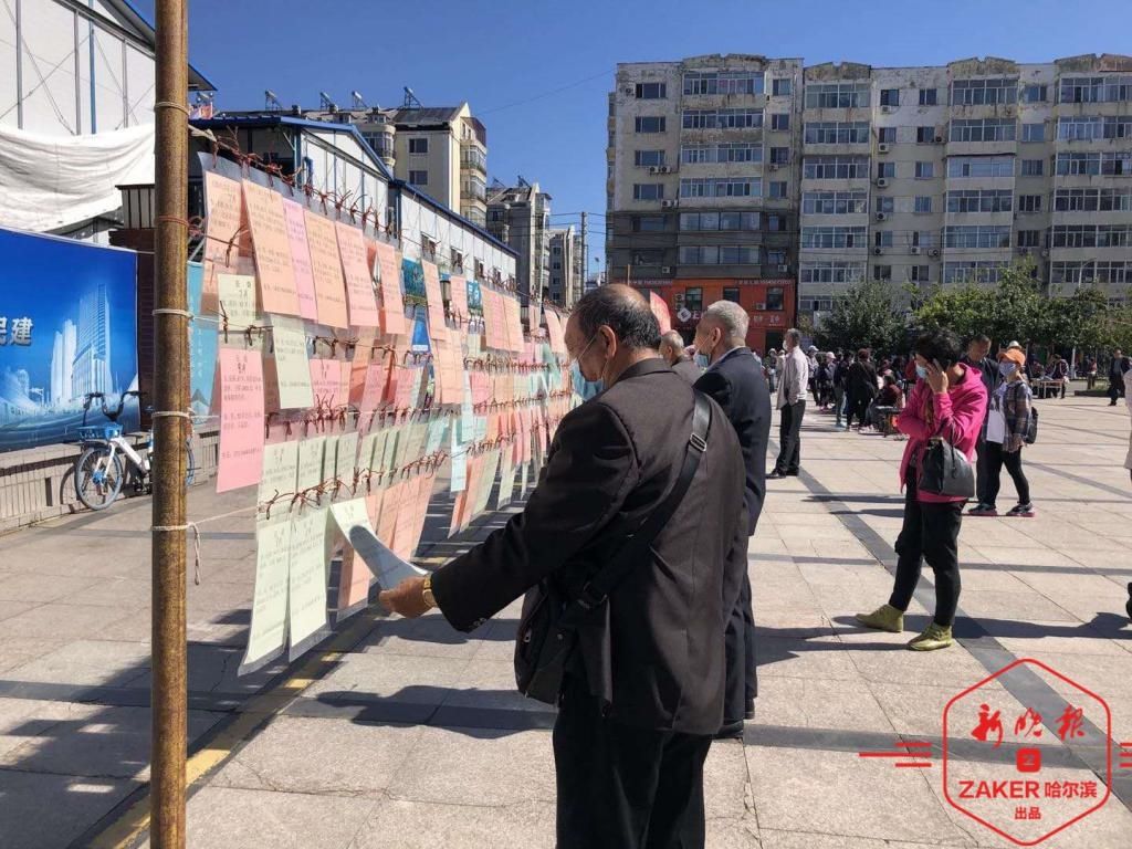 哈市|七十而爱，下半场爱情靠啥|哈市高龄老人婚恋调查
