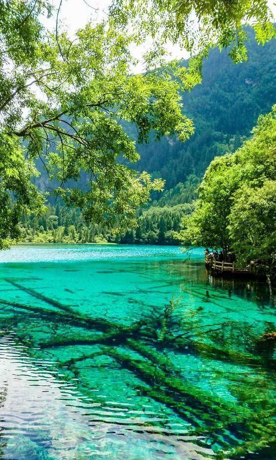 难得一见|奇妙风光，难得一见