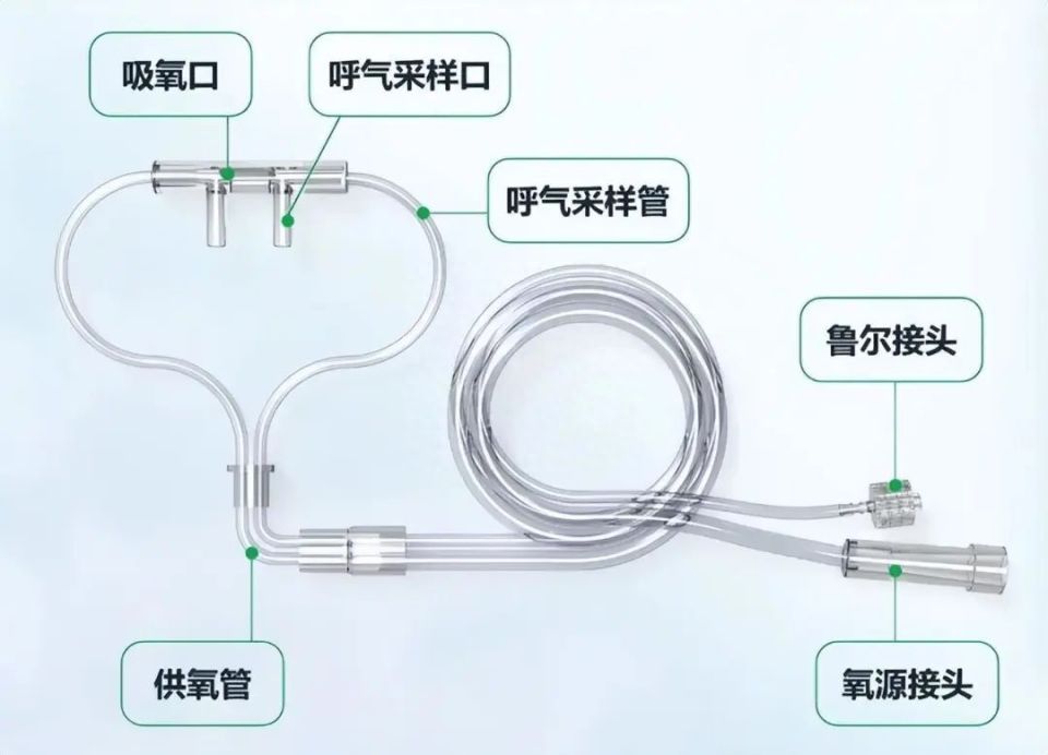 麻醉手术后下次麻醉手术多久能做(手术结束后患者再次被“麻醉”了，手术后这个细节很重要！)