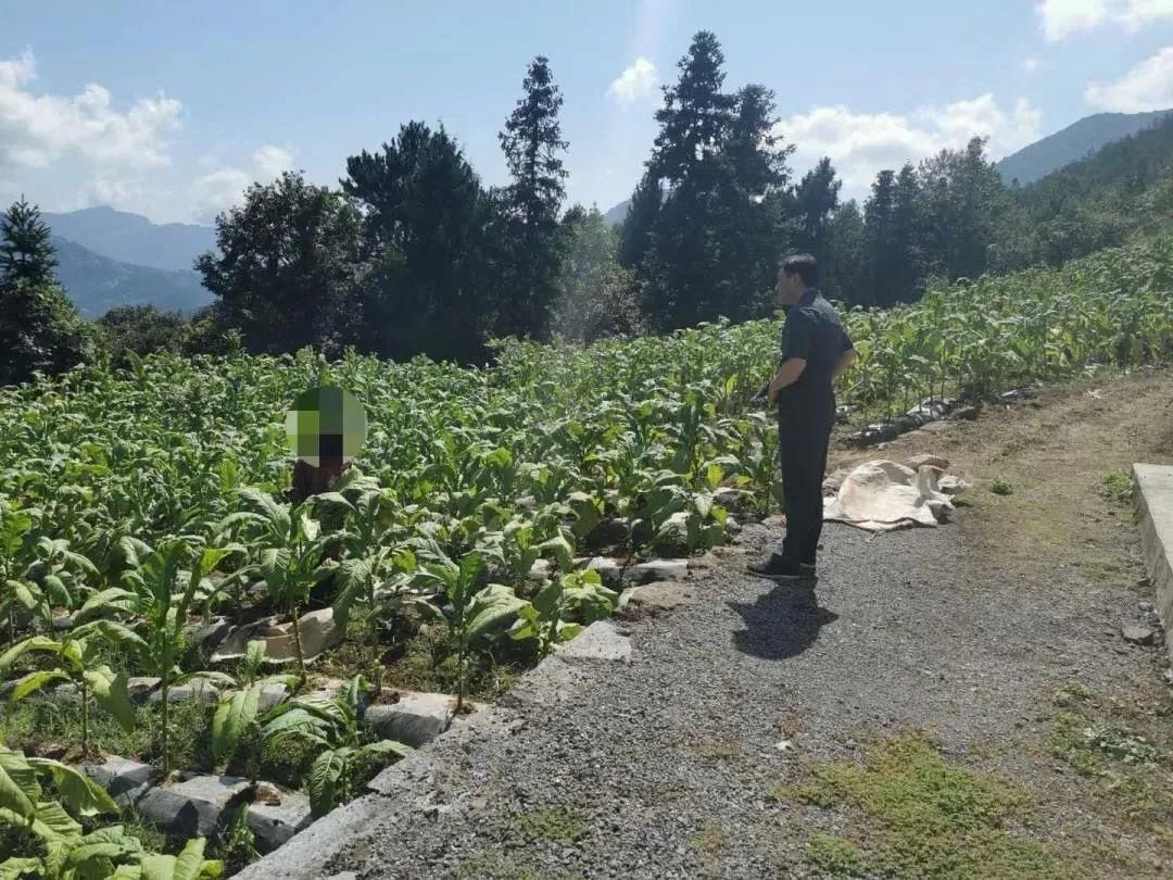 秭归法院|“老赖”躲了15年,还是被抓了!