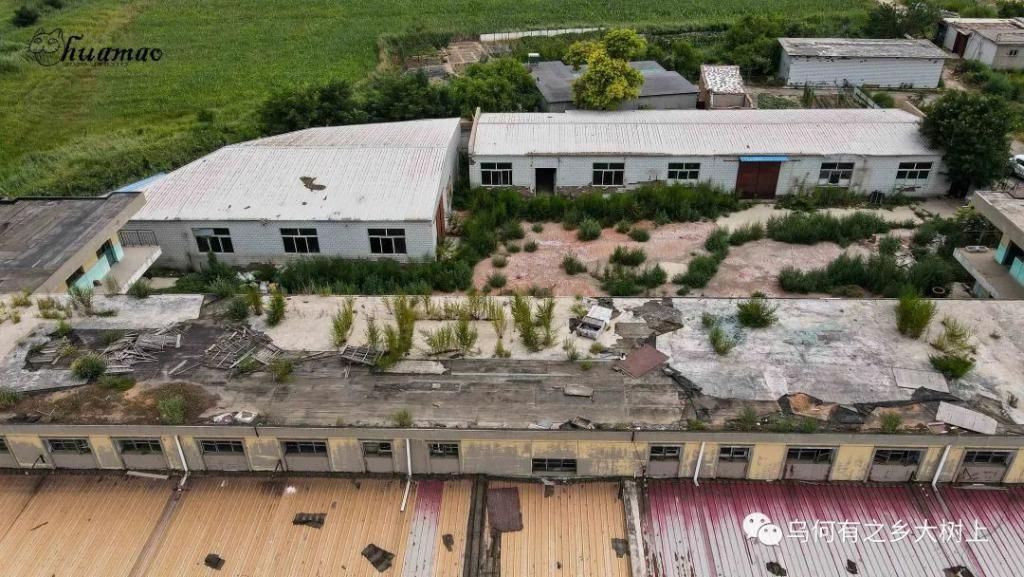  真相|这个小学原本是座庙，但还不知道是谁的庙，村子拆迁更找不到真相了