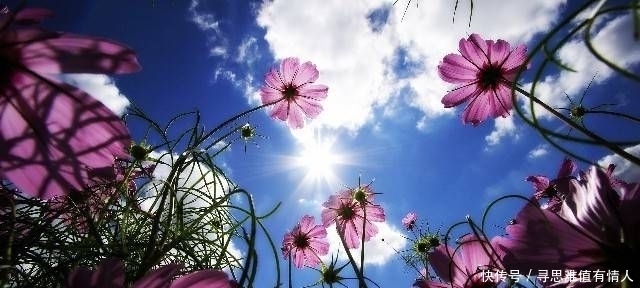 受益|简单朴素的名言,悲痛欲绝,使人终生受益